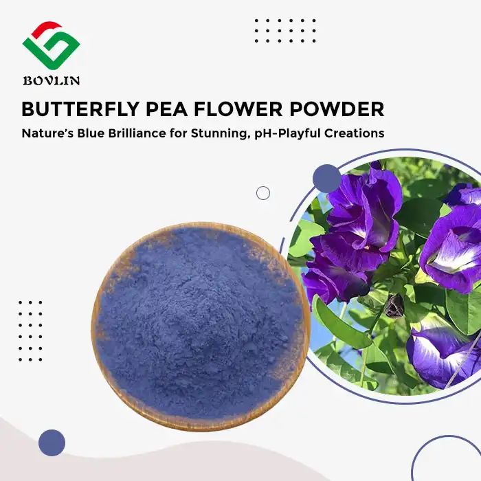 Blue Butterfly Pea Flower Powder